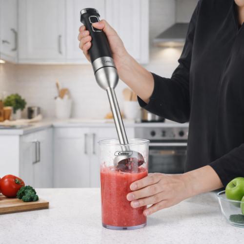 03. BATIDORA DE INMERSIÓN - CX-BAT INM - 03